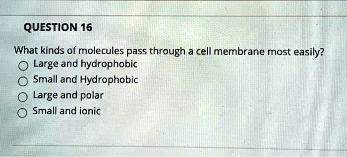 What kinds of molecules pass through a cell membrane most easily?
Large and hydrophobic
Small and Hydrophobic
Large and polar
Small and ionic