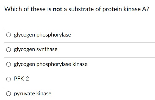 Which of these is not a substrate of protein kinase A?
glycogen phosphorylase
glycogen synthase
glycogen phosphorylase kinase
PFK-2
pyruvate kinase