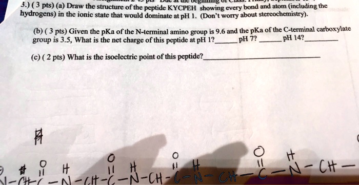 3.) (3 pts) (a) Draw the structure of the peptide KYCPEH showing every bond and atom (including the hydrogens) in the ionic state that would dominate at pH 1. (Don't worry about stereochemistry). (b) (3 pts) Given the pKa of the N-terminal amino group is 9.6 and the pKa of the C-terminal carboxylate group is 3.5, What is the net charge of this peptide at pH 1?  pH 7?  pH 14?  (c) (2 pts) What is the isoelectric point of this peptide? 