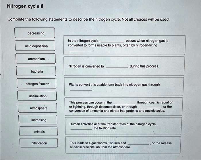 Nitrogen cycle II Complete the following statements to describe the ...