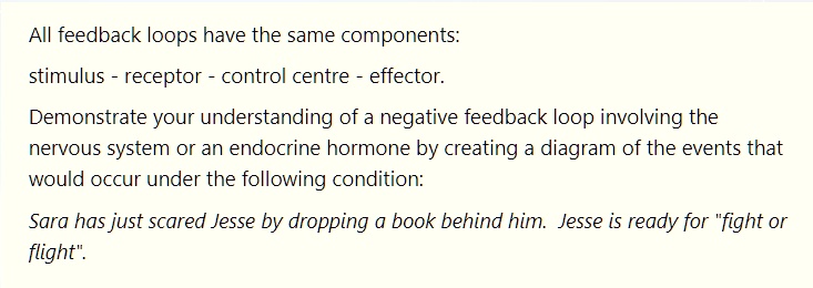 All feedback loops have the same components:
stimulus - receptor - control centre - effector.
Demonstrate your understanding of a negative feedback loop involving the nervous system or an endocrine hormone by creating a diagram of the events that would occur under the following condition:
Sara has just scared Jesse by dropping a book behind him. Jesse is ready for "fight or flight".