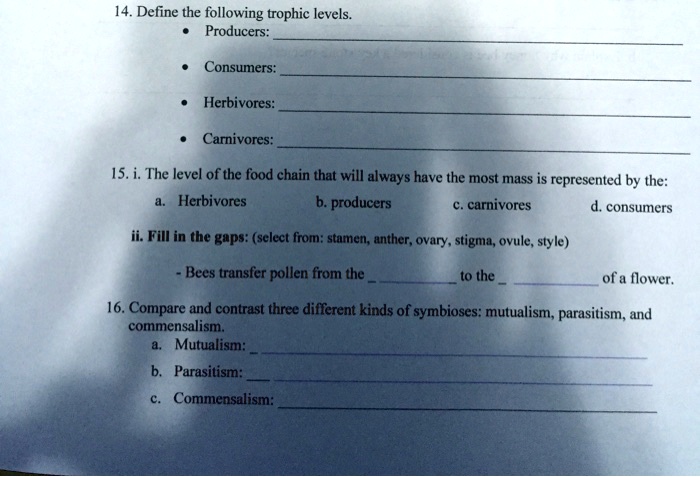 Get Answer 14 Define The Following Trophic Levels Producers Consumers Get Answer 14 Define The Following Trophic Levels Producers Consumers