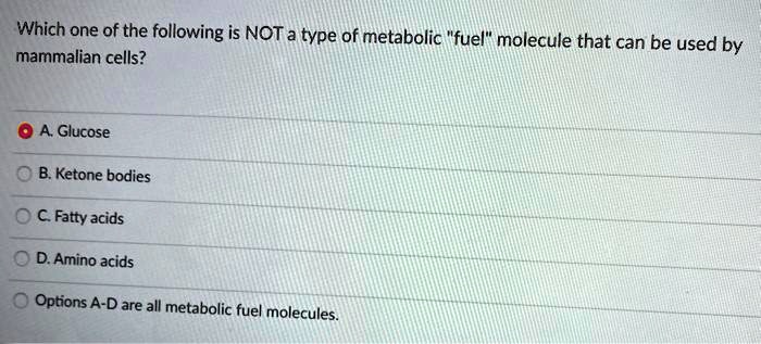 Which one of the following is NOT a type of metabolic "fuel" molecule that can be used by
mammalian cells?

A. Glucose
B. Ketone bodies
C. Fatty acids
D. Amino acids
Options A-D are all metabolic fuel molecules.