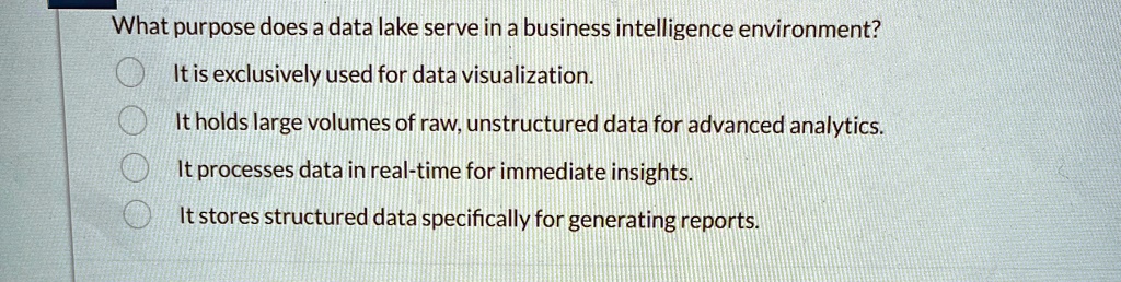 what purpose does a data lake serve in a business intelligence environment it is exclusively used for data visualization it holds large volumes of raw unstructured data for advanced analytic 90648