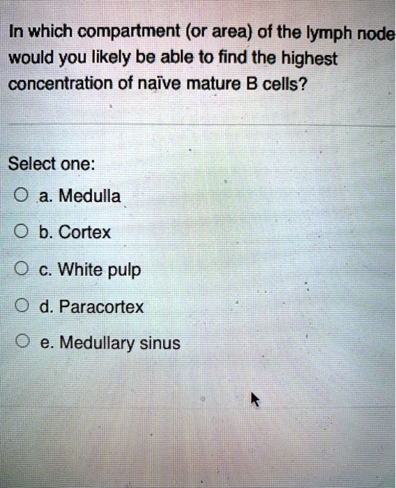 In which compartment (or area) of the lymph node would you likely be able to find the highest concentration of naïve mature B cells?

Select one:
a. Medulla
b. Cortex
c. White pulp
d. Paracortex
e. Medullary sinus