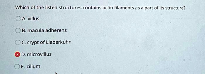 Which of the listed structures contains actin filaments as a part of its structure?
A. villus
B. macula adherens
C. crypt of Lieberkuhn
D. microvillus
E. cilium
