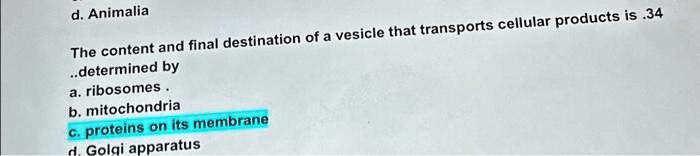 d. Animalia
The content and final destination of a vesicle that transports cellular products is .34
..determined by
a. ribosomes.
b. mitochondria
c. proteins on its membrane
d. Golgi apparatus