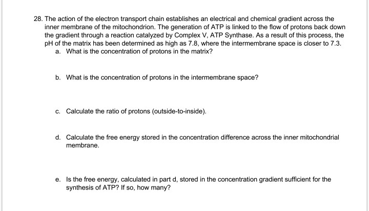 SOLVED: 28. The action of the electron transport chain establishes an ...