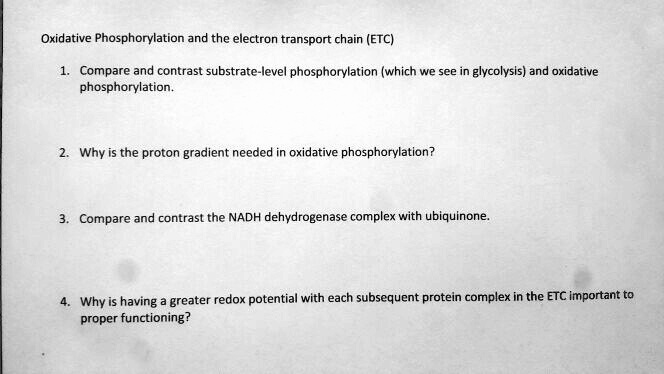 phosphorylation au niveau du substrat et phosphorylation oxydative