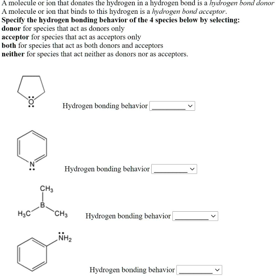 SOLVED:A molecule Or ion that donates the hydrogen in a hydrogen bond ...