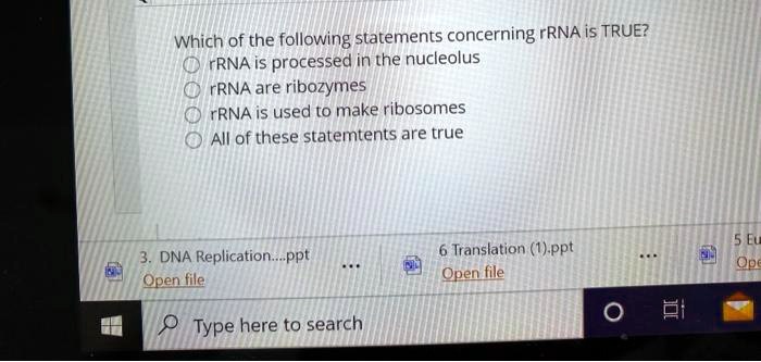 Solved:which Of The Following Statements Concerning Rrna Is True? Rrna Is  Processed In The Nucleolus Rrna Are Ribozymes Rrna Is Used To Make  Ribosomes All Of These Statemtents Are True 6 Translation ( Solved:which Of The Following Statements Concerning Rrna Is True? Rrna Is  Processed In The Nucleolus Rrna Are Ribozymes Rrna Is Used To Make  Ribosomes All Of These Statemtents Are True 6 Translation (