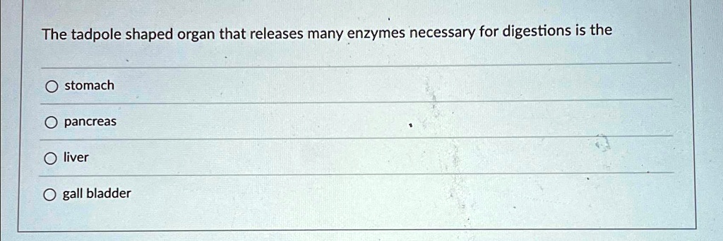 SOLVED: The tadpole-shaped organ that releases many enzymes necessary ...