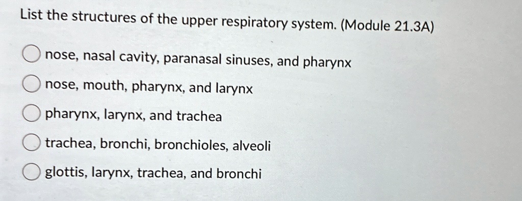 list the structures of the upper respiratory system module 213a nose ...