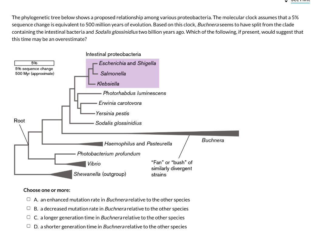 SOLVED: The phylogenetic tree below shows the proposed relationships ...