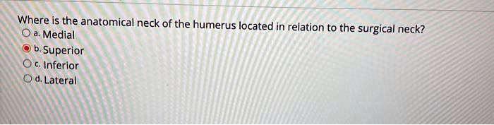 Where is the anatomical neck of the humerus located in relation to the surgical neck?
a. Medial
b. Superior
c. Inferior
d. Lateral