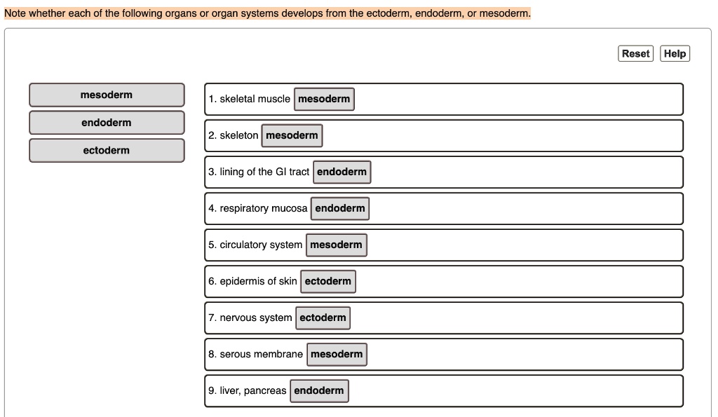 Solved Note Whether Each Of The Following Organs Or Organ Systems Solved Note Whether Each Of The Following Organs Or Organ Systems