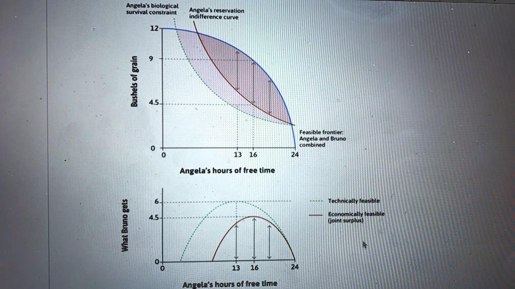 SOLVED The figure below shows Angela and Bruno's feasible frontier