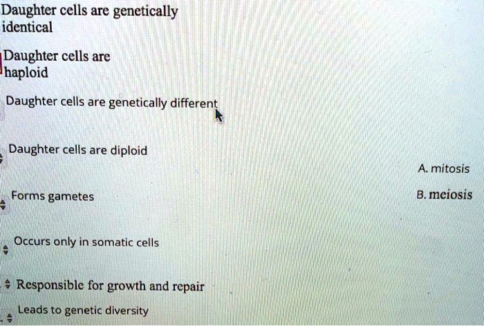 Daughter cells are genetically identical
Daughter cells are haploid
Daughter cells are genetically different
Daughter cells are diploid
Forms gametes
Occurs only in somatic cells
Responsible for growth and repair
Leads to genetic diversity
A. mitosis
B. meiosis