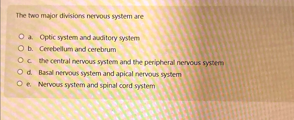 the two major divisions nervous system are a optic system and auditory ...