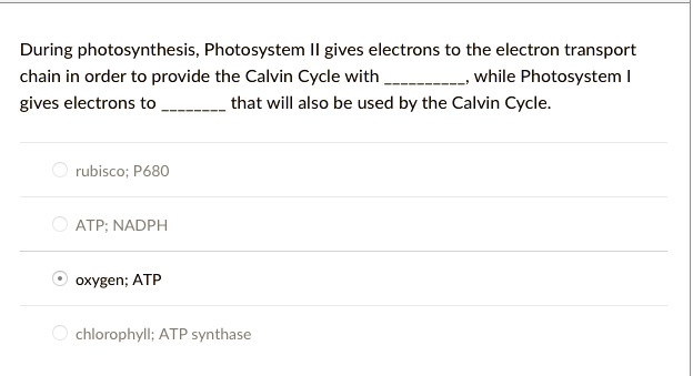 During photosynthesis, Photosystem II gives electrons to the electron transport
chain in order to provide the Calvin Cycle with , while Photosystem I
gives electrons to  that will also be used by the Calvin Cycle.
rubisco; P680
ATP; NADPH
oxygen; ATP
chlorophyll; ATP synthase