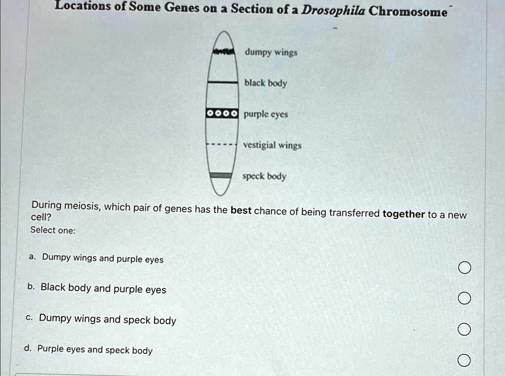 SOLVED: Locations of Some Genes on a Section of a Drosophila Chromosome ...