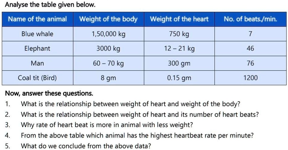 SOLVED: 'Answer this questions by above information Analyse the table given  below: Name of the animal Weight of the body Weight of the heart No: of  beats /min: Blue whale 1,50,000 kg