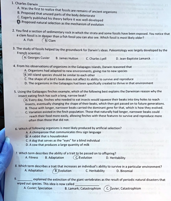 SOLVED Charles Darwin Was the first to realize that fossils are