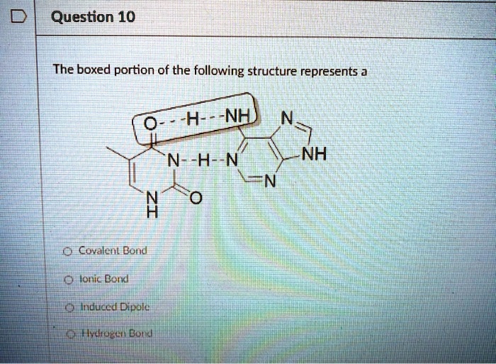 SOLVED: Question 10 The Boxed Portion Of The Following Structure ...