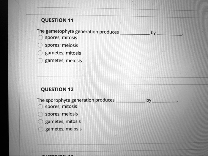 SOLVED QUESTION 11 The gametophyte generation produces spores; mitosis