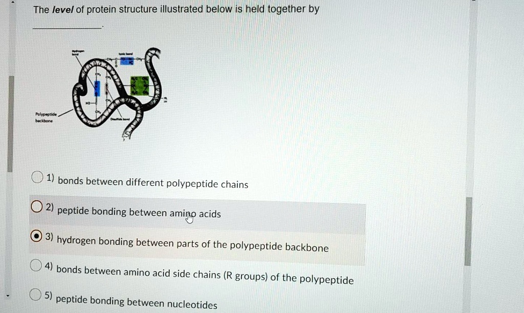 SOLVED The level of protein structure illustrated below is held