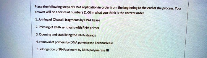 Place the following steps of DNA replication in order from the ...