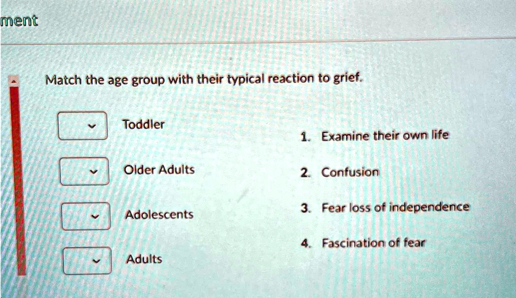 Match the age group with their typical reaction to grief.

Toddler
Older Adults
Adolescents
Adults

1. Examine their own life
2. Confusion
3. Fear loss of independence
4. Fascination of fear