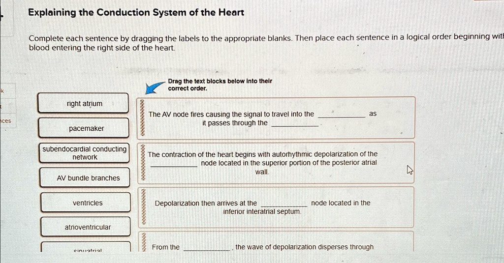 Solved: Explaining The Conduction System Of The Heart Complete Each 