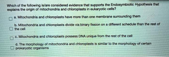 Which of the following is/are considered evidence that supports the Endosymbiotic Hypothesis that explains the origin of mitochondria and chloroplasts in eukaryotic cells?
a. Mitochondria and chloroplasts have more than one membrane surrounding them
b. Mitochondria and chloroplasts divide via binary fission on a different schedule than the rest of the cell
c. Mitochondria and chloroplasts possess DNA unique from the rest of the cell
d. The morphology of mitochondria and chloroplasts is similar to the morphology of certain prokaryotic organisms