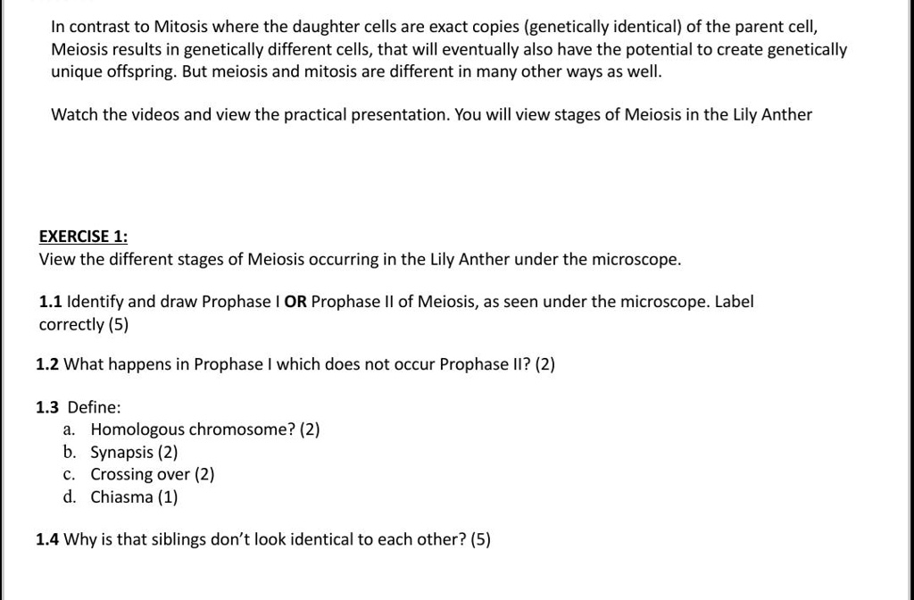 solved-in-contrast-to-mitosis-where-the-daughter-cells-are-exact