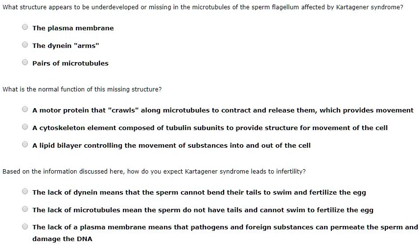 What structure appears to be underdeveloped or missing in the microtubules of the sperm flagellum affected by Kartagener syndrome?

The plasma membrane
The dynein "arms"
Pairs of microtubules

What is the normal function of this missing structure?

A motor protein that "crawls" along microtubules to contract and release them, which provides movement
A cytoskeleton element composed of tubulin subunits to provide structure for movement of the cell
A lipid bilayer controlling the movement of substances into and out of the cell

Based on the information discussed here, how do you expect Kartagener syndrome leads to infertility?

The lack of dynein means that the sperm cannot bend their tails to swim and fertilize the egg
The lack of microtubules mean the sperm do not have tails and cannot swim to fertilize the egg
The lack of a plasma membrane means that pathogens and foreign substances can permeate the sperm and damage the DNA