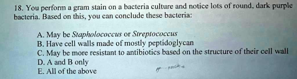 SOLVED: 18. You perform a Gram stain on a bacterial culture and notice ...