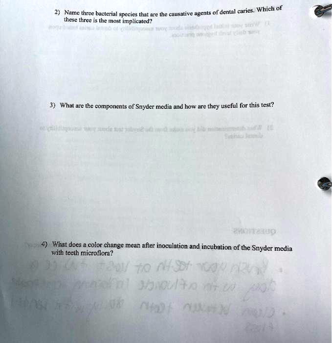 SOLVED Name three bacterial species that are the causative agents of