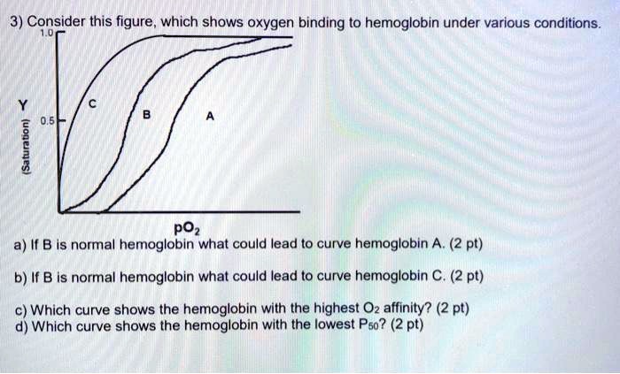 3) Consider this figure, which shows oxygen binding to hemoglobin under ...