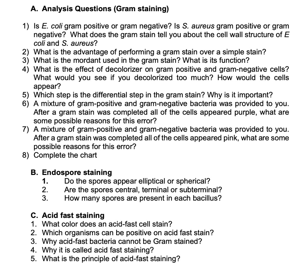 SOLVED: Microbiology Questions A. Analysis Questions (Gram Staining) 1 ...