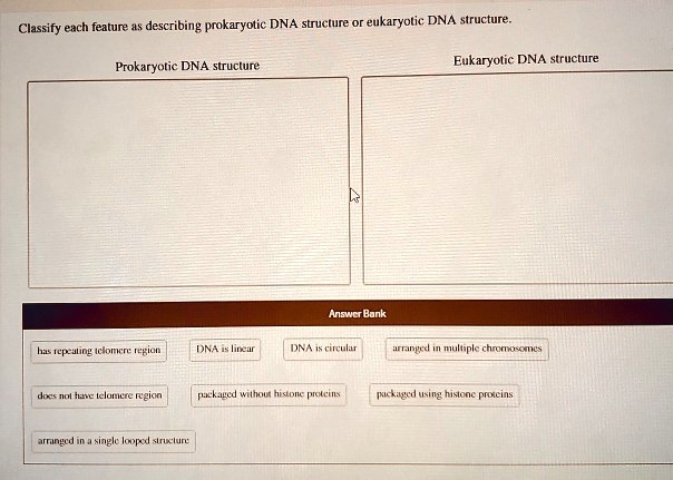 SOLVED: Classify each feature a5 describing prokaryotic DNA struclire ...