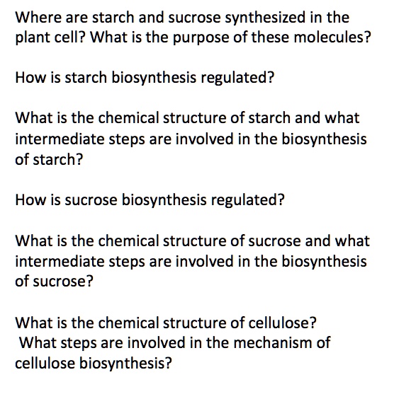 Where are starch and sucrose synthesized in the plant cell?...