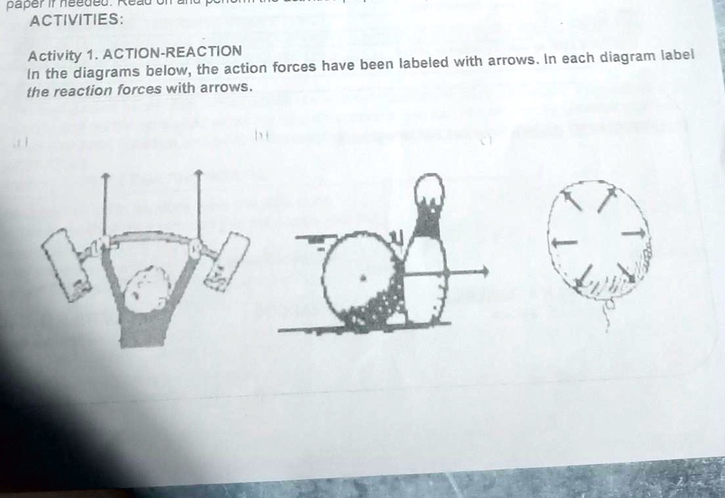 In the diagrams below, the action forces have been labeled with arrows. In each diagram, label