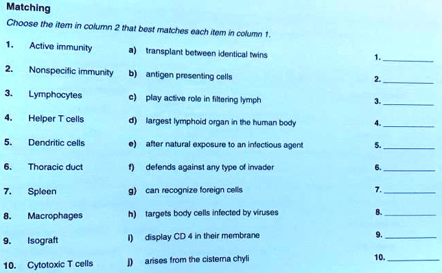 Matching
Choose the item in column 2 that best matches each item in column 1.
1. Active immunity a) transplant between identical twins 1. 
2. Nonspecific immunity b) antigen presenting cells 2. 
3. Lymphocytes c) play active role in filtering lymph 3. 
4. Helper T cells d) largest lymphoid organ in the human body 4. 
5. Dendritic cells e) after natural exposure to an infectious agent 5. 
6. Thoracic duct f) defends against any type of invader 6. 
7. Spleen g) can recognize foreign cells 7. 
8. Macrophages h) targets body cells infected by viruses 8. 
9. Isograft i) display CD 4 in their membrane 9. 
10. Cytotoxic T cells j) arises from the cisterna chyli 10. 