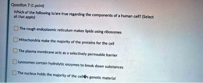 Select All Of The True Statements Regarding Mitochondria. SOLVED: Question 7 (1 point) all that apply) Which of the following is