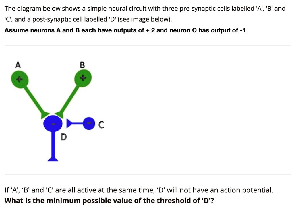 SOLVED: The diagram below shows a simple neural circuit with three pre ...