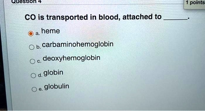 CO is transported in blood, attached to .
a. heme
b. carbaminohemoglobin
c. deoxyhemoglobin
d. globin
e. globulin