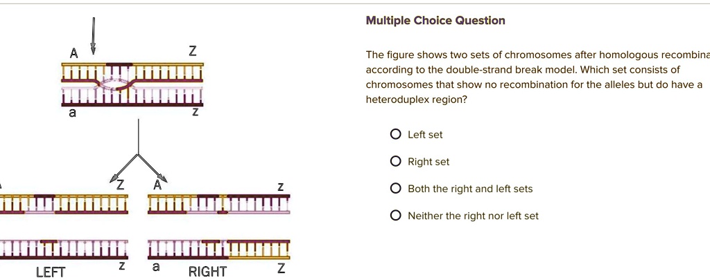 SOLVED: Multiple Choice Question The figure shows two sets of ...