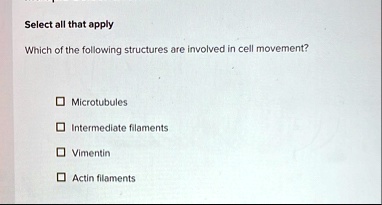 select all that apply which of the following structures are involved in cell movement microtubules intermediate filaments vimentin actin filaments 51426