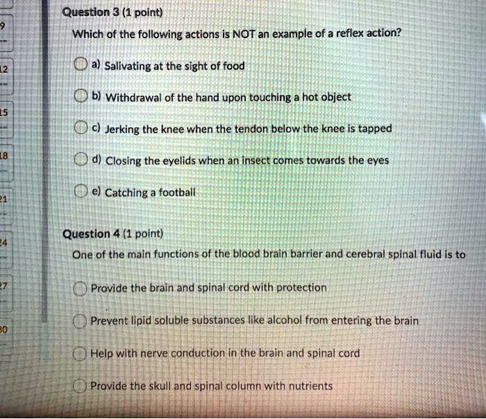 Question 3 (1 point)
Which of the following actions is NOT an example of a reflex action?
a) Salivating at the sight of food
b) Withdrawal of the hand upon touching a hot object
c) Jerking the knee when the tendon below the knee is tapped
d) Closing the eyelids when an insect comes towards the eyes
e) Catching a football
Question 4 (1 point)
One of the main functions of the blood brain barrier and cerebral spinal fluid is to
Provide the brain and spinal cord with protection
Prevent lipid soluble substances like alcohol from entering the brain
Help with nerve conduction in the brain and spinal cord
Provide the skull and spinal column with nutrients